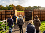 WG061023-6 - Warren Greatrex stable vist